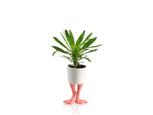 Afbeelding in Gallery-weergave laden, Flamingo feet plantenpot

