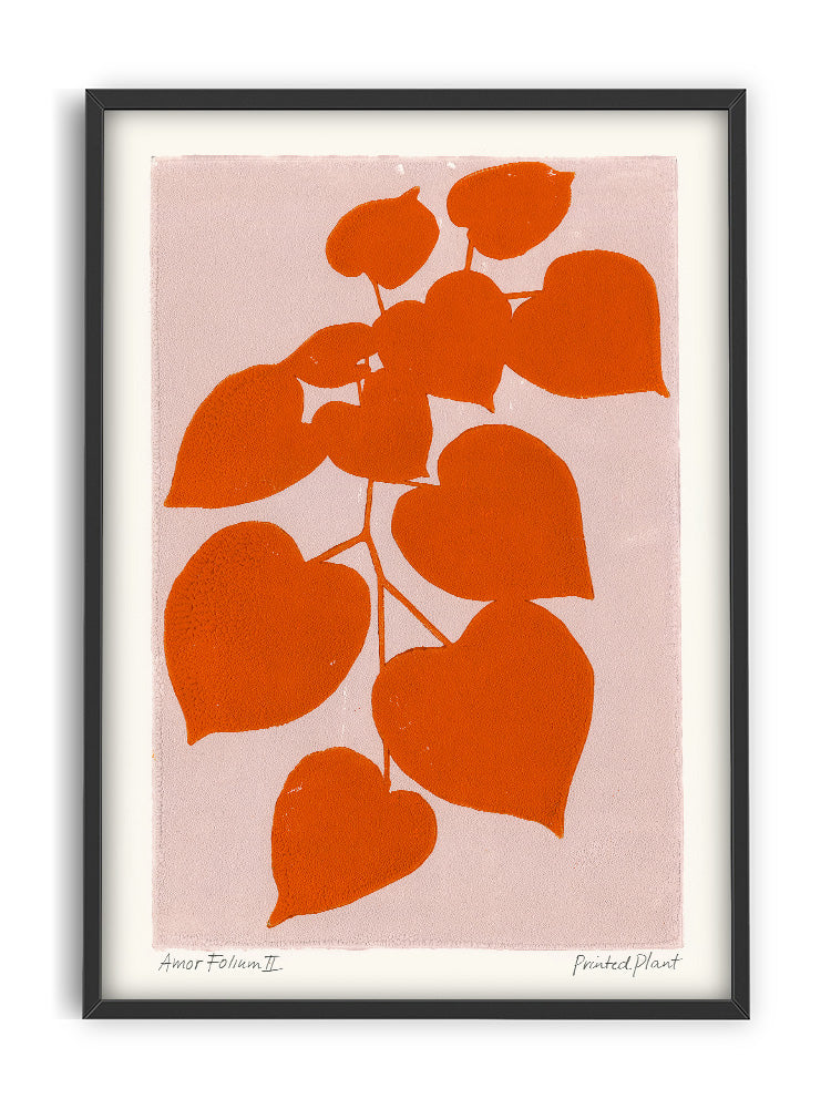 Printed plant | Amor Folium