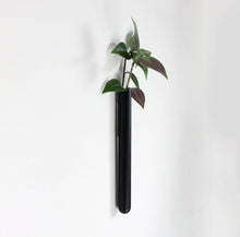 Afbeelding in Gallery-weergave laden, Muurbloempjes Magnetische plantenhanger | zwart 1 stuk

