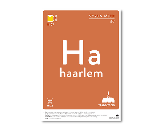 Haarlem stedenprint